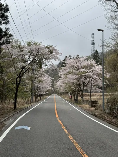Doshi Ride