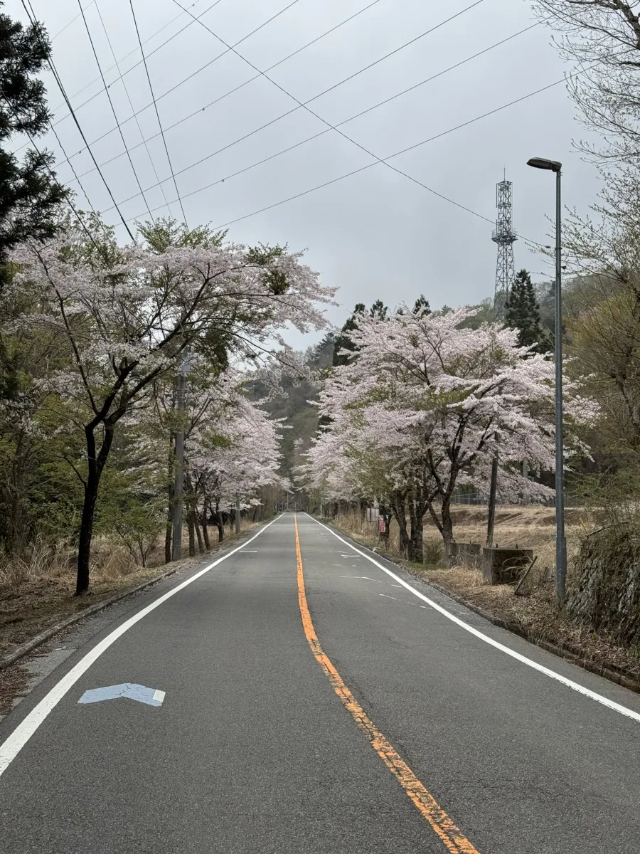 Doshi Ride
