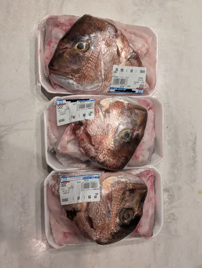 Snapper Stock